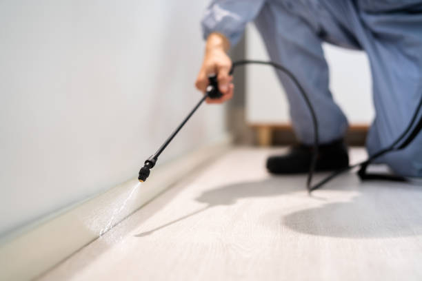 Bed Bug Pre-Treatment Preparation Assessment in Port Richey