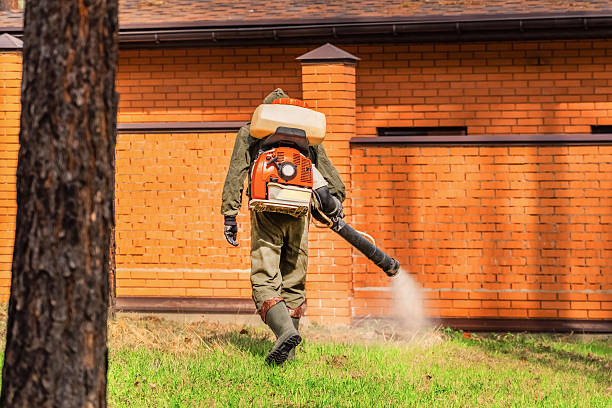 Bed Bug Clearance Verification and Documentation in Port Richey
